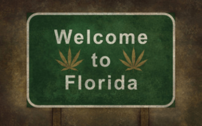 RISE IN DEMAND OF MEDICAL CANNABIS IN FLORIDA!!