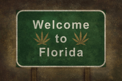 RISE IN DEMAND OF MEDICAL CANNABIS IN FLORIDA!!