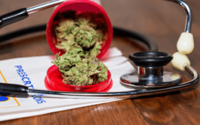 THE PROCESS TO APPLY FOR MEDICAL MARIJUANA CARD IN FLORIDA & ITS BENEFITS